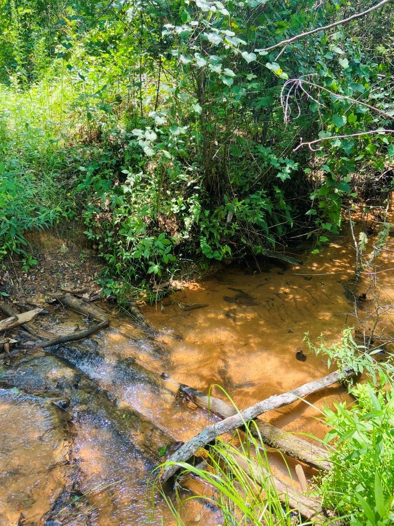 Holanna Creek Hunt Camp Photo