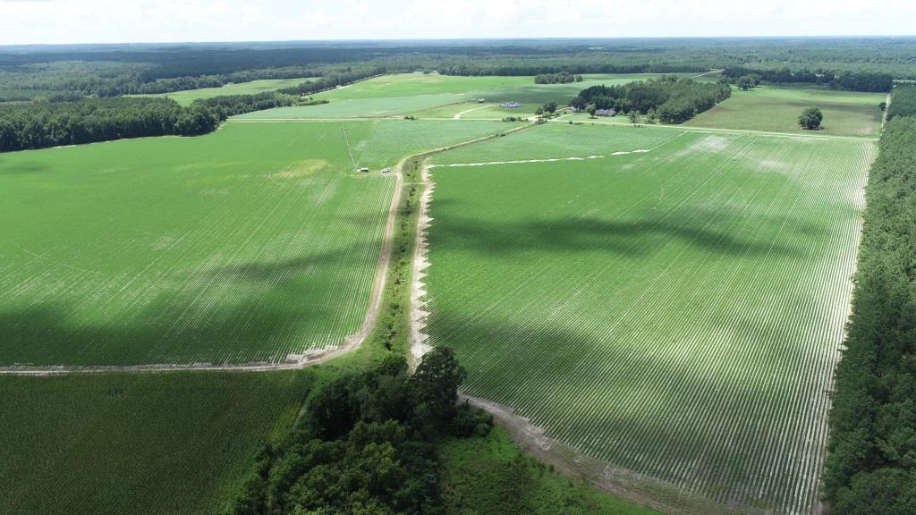 Roberts Bridge Farm Photo