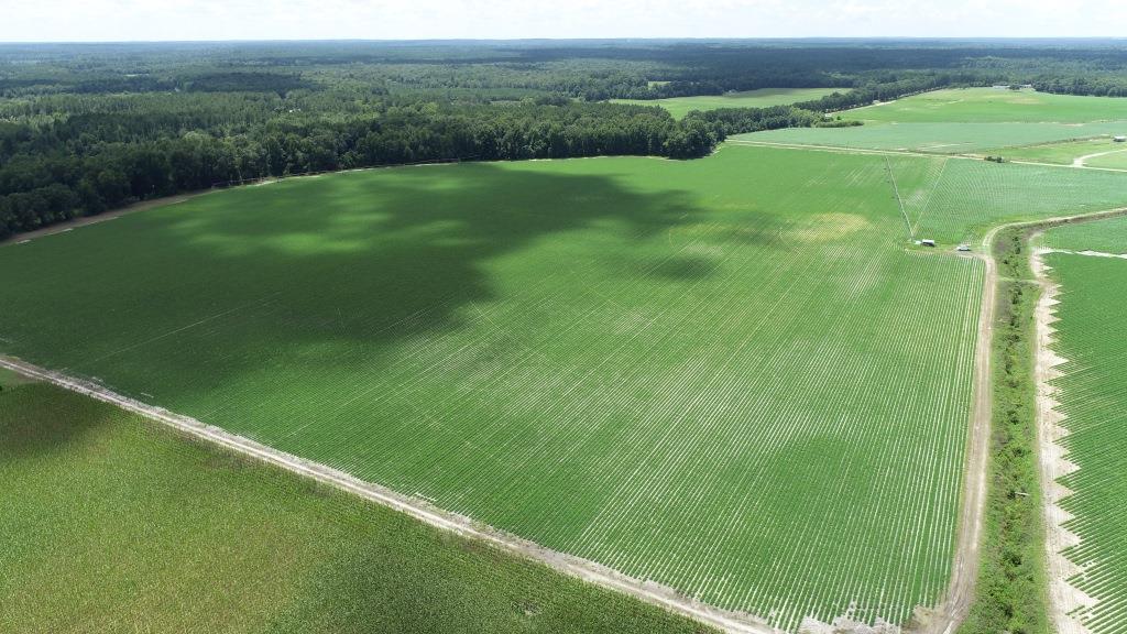 Roberts Bridge Farm Photo