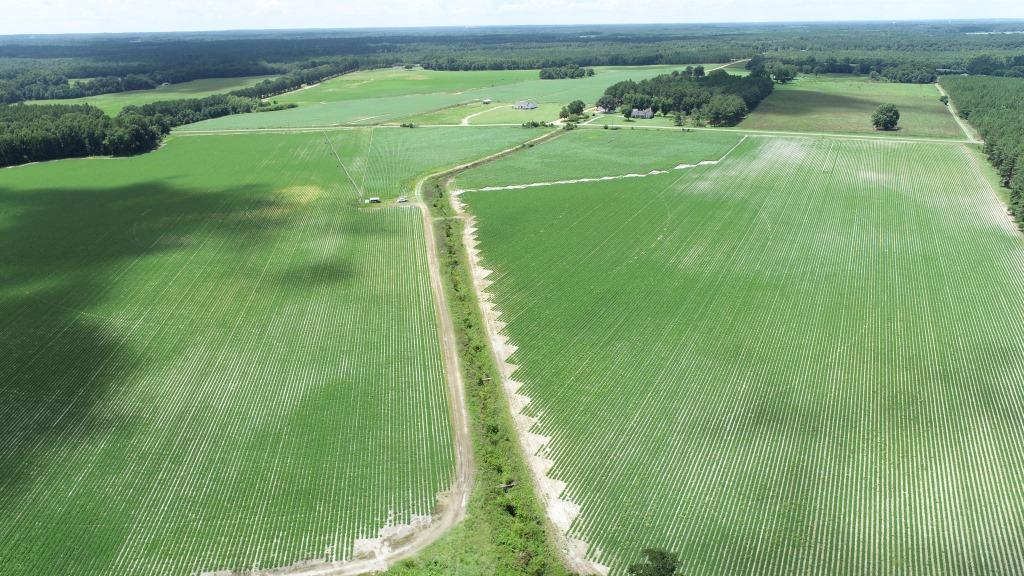 Roberts Bridge Farm Photo