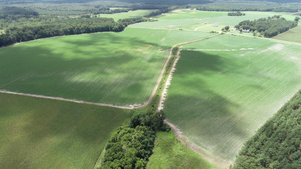 Roberts Bridge Farm Photo