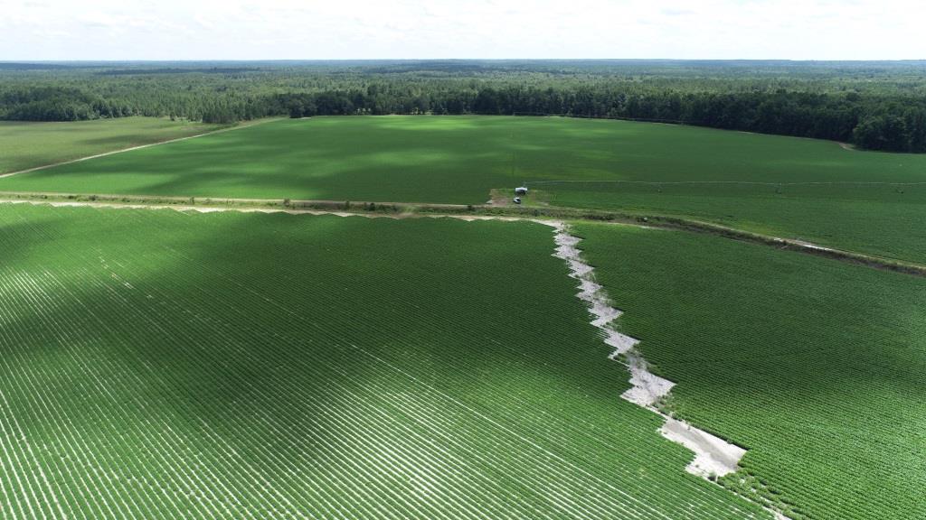 Roberts Bridge Farm Photo