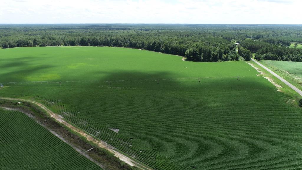 Roberts Bridge Farm Photo