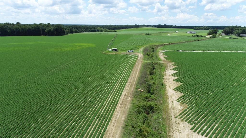 Roberts Bridge Farm Photo