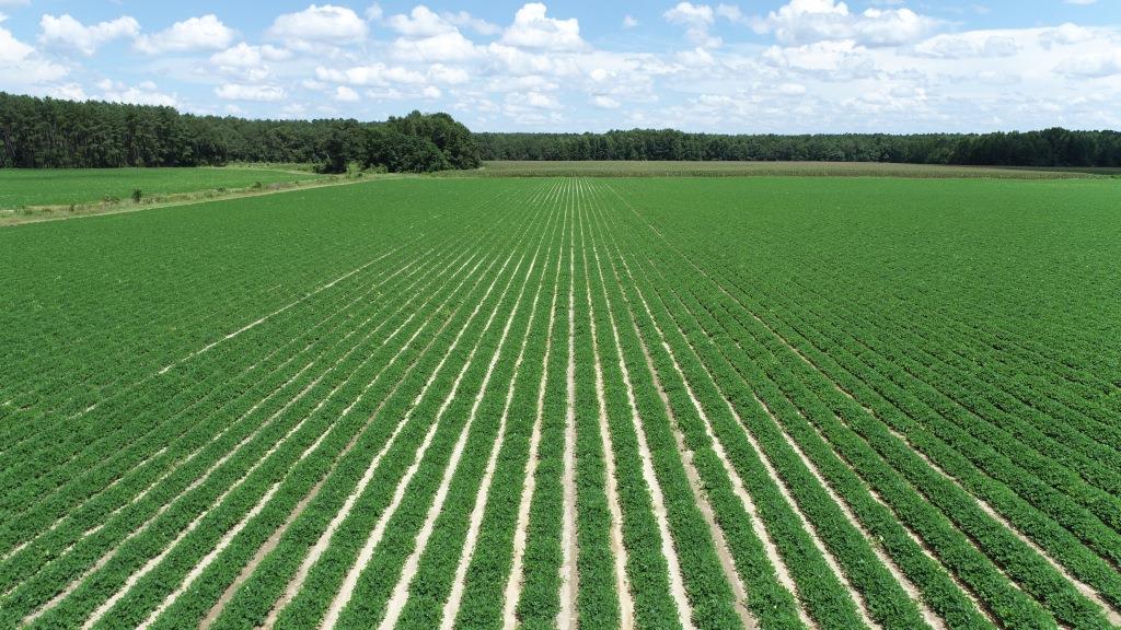 Roberts Bridge Farm Photo