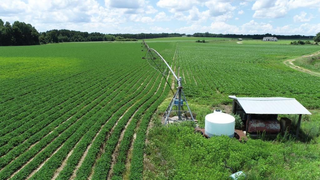 Roberts Bridge Farm Photo