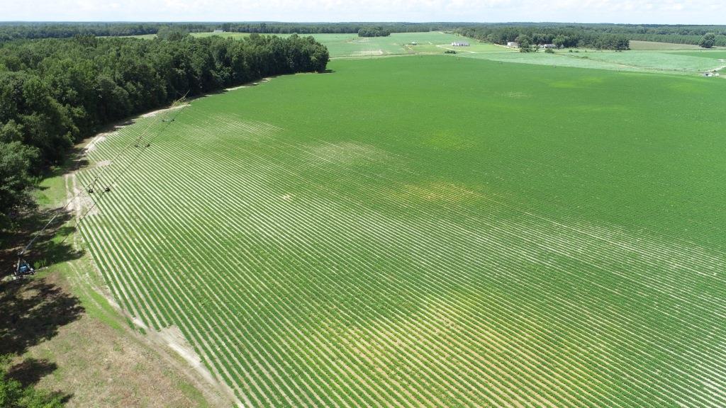 Roberts Bridge Farm Photo