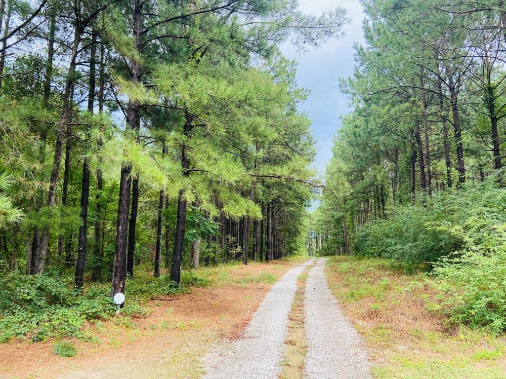 Home & Acreage in Jefferson Co. Photo