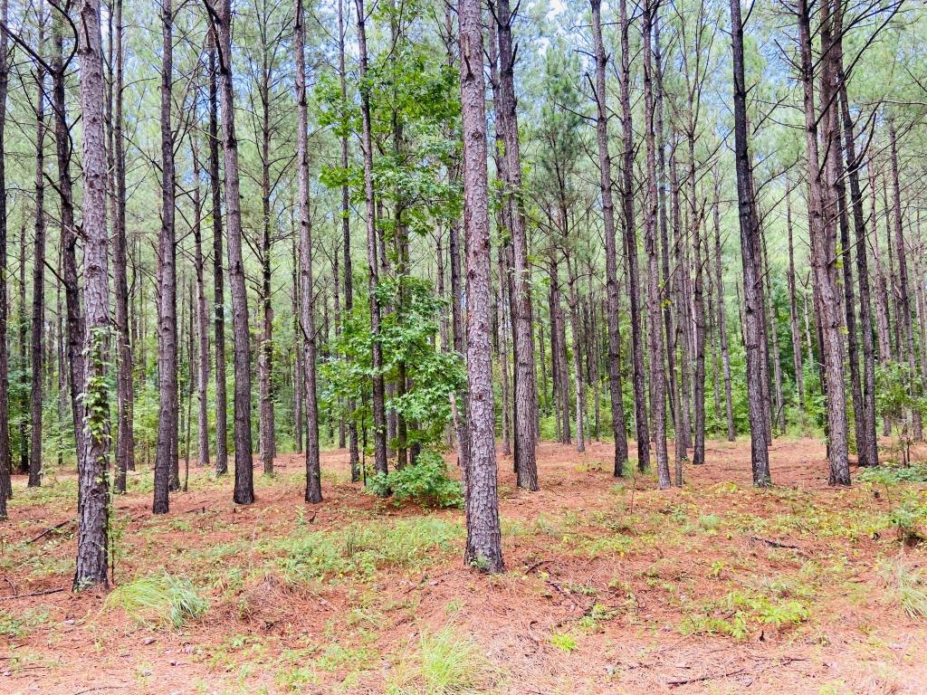 Home & Acreage in Jefferson Co. Photo