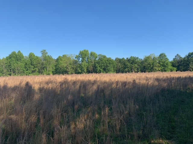 Rocky Knob Tract Photo