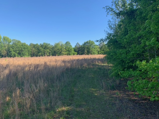 Rocky Knob Tract Photo