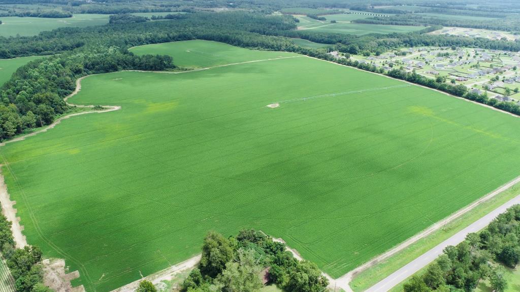 Statesboro Residential Development – Tract B Photo