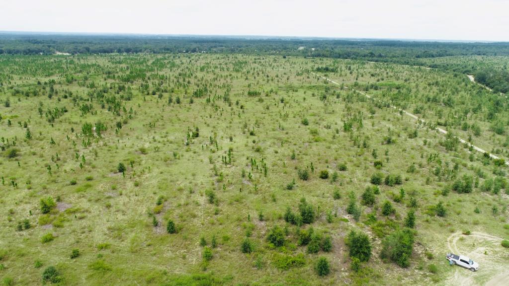 Reidsville Airport Tract Photo