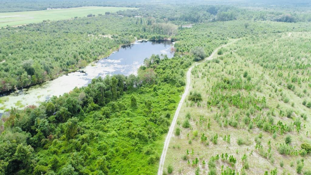 Reidsville Airport Tract Photo