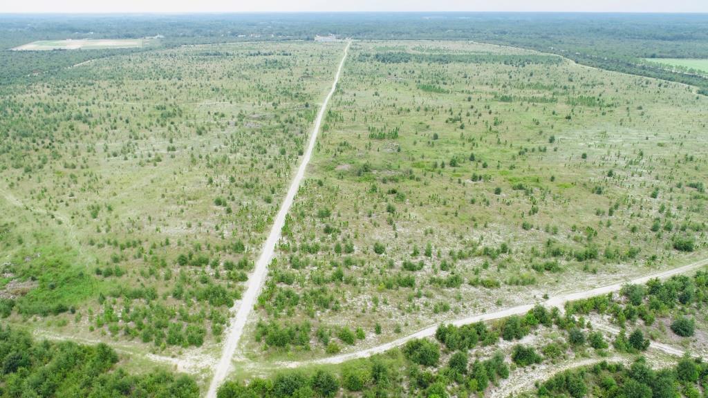 Reidsville Airport Tract Photo