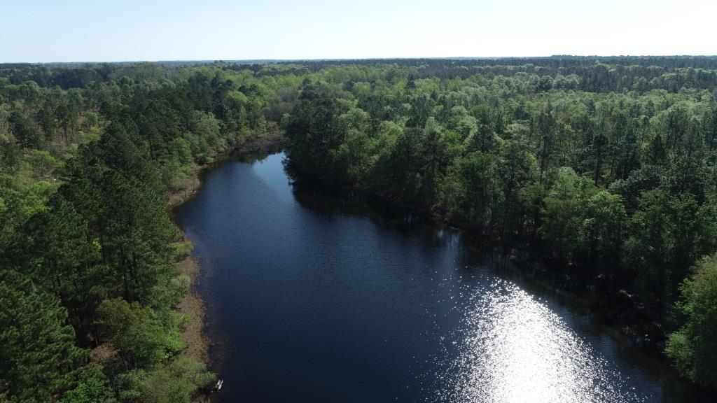 Westside Pond Photo