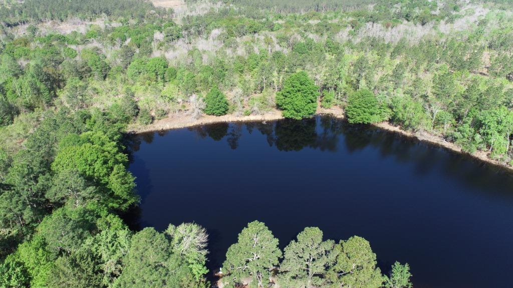 Westside Pond Photo