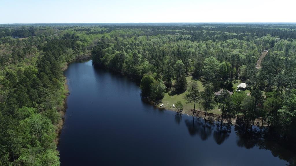 Westside Pond Photo