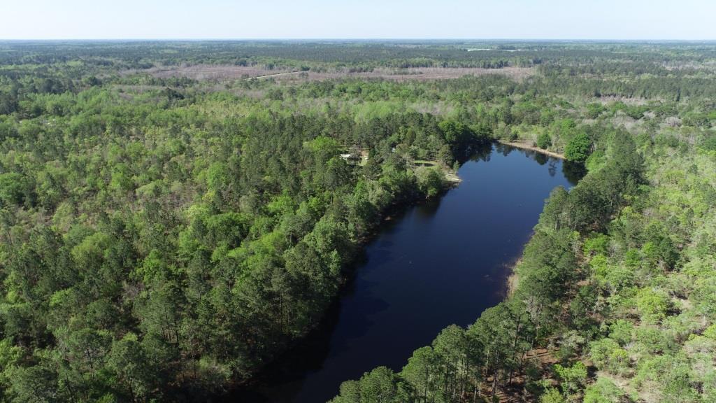 Westside Pond Photo