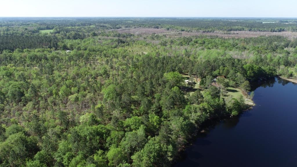 Westside Pond Photo