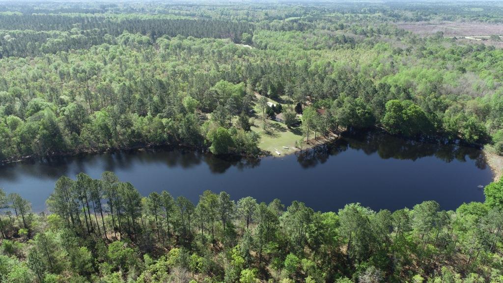 Westside Pond Photo