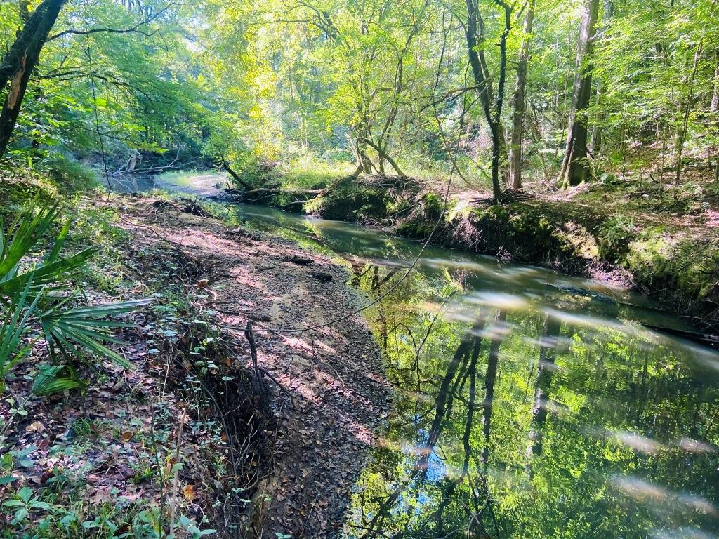 Little Patsiliga Creek Photo