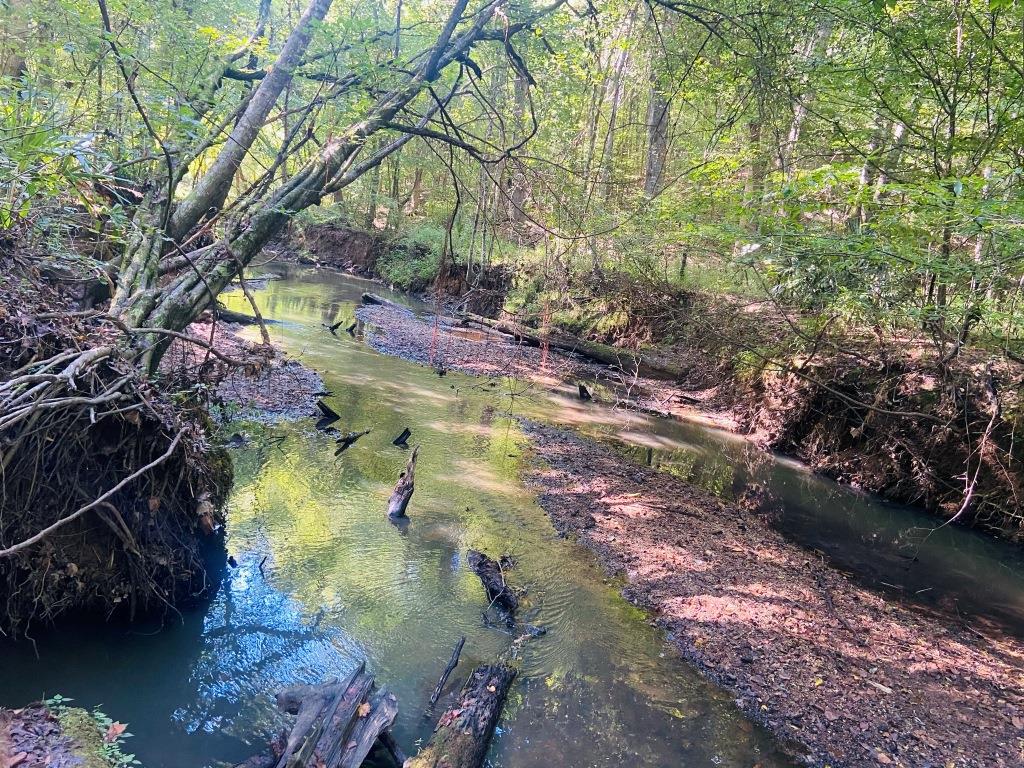 Little Patsiliga Creek Photo