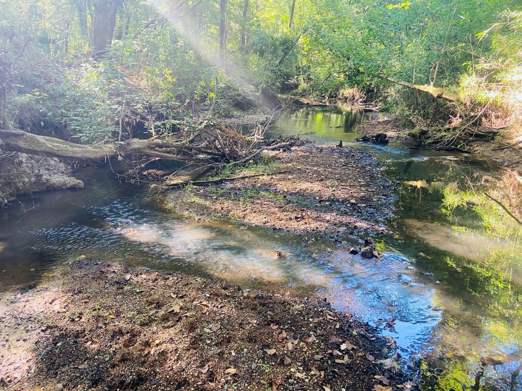 Little Patsiliga Creek Photo