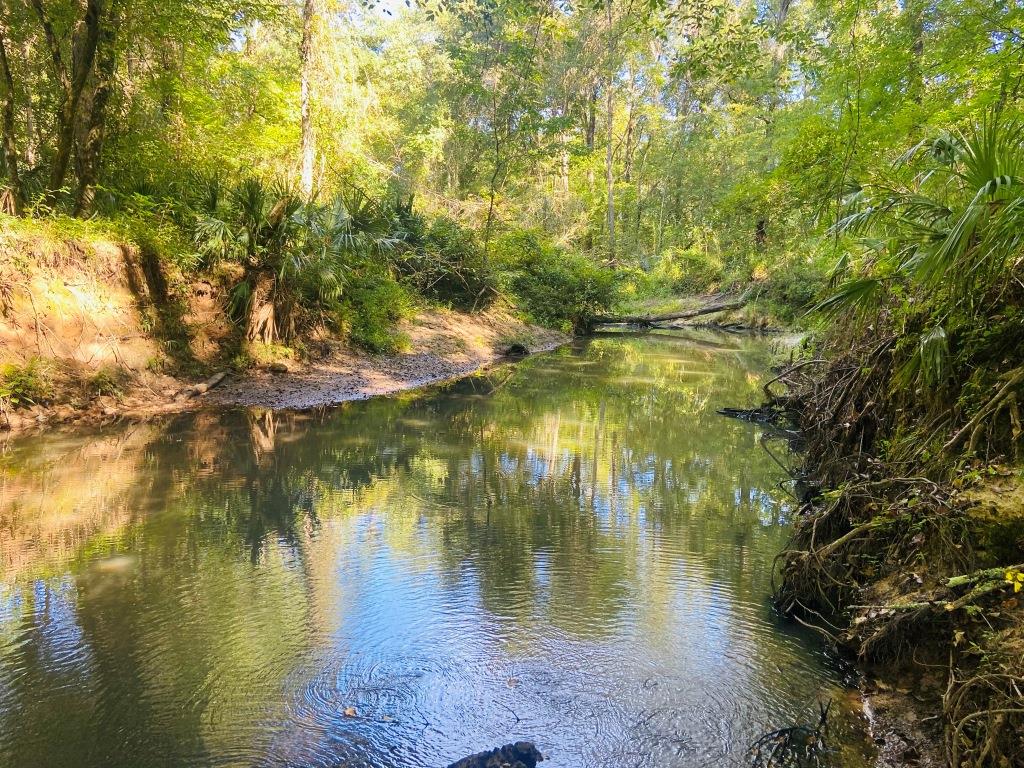 Little Patsiliga Creek Photo