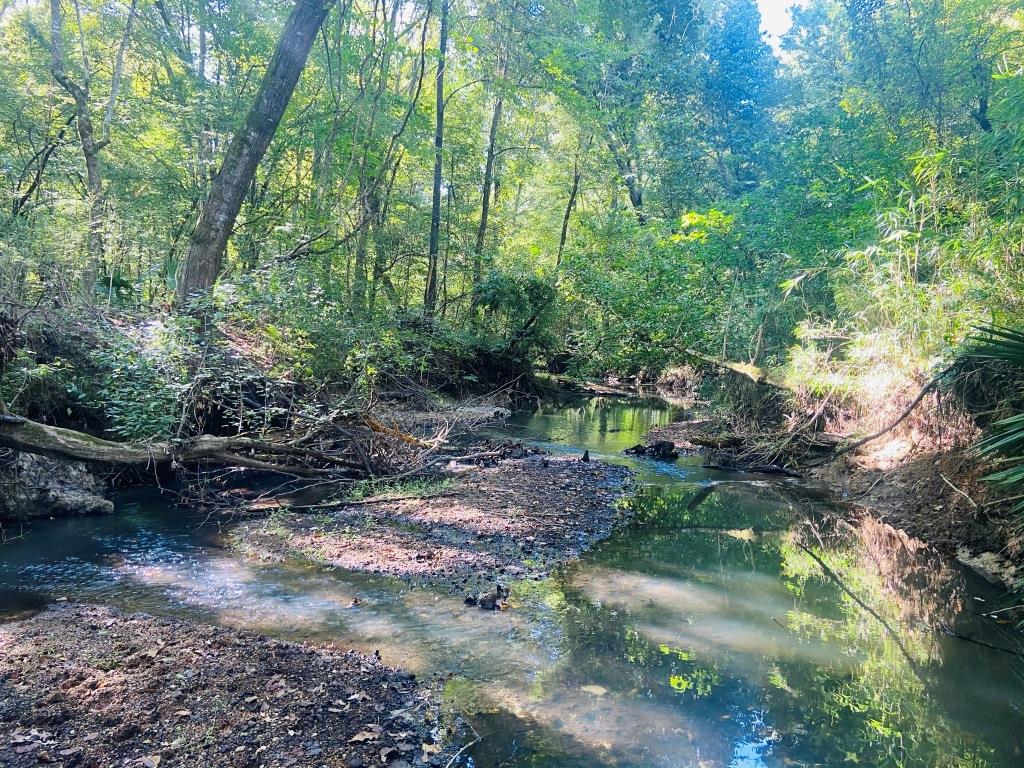 Little Patsiliga Creek Photo