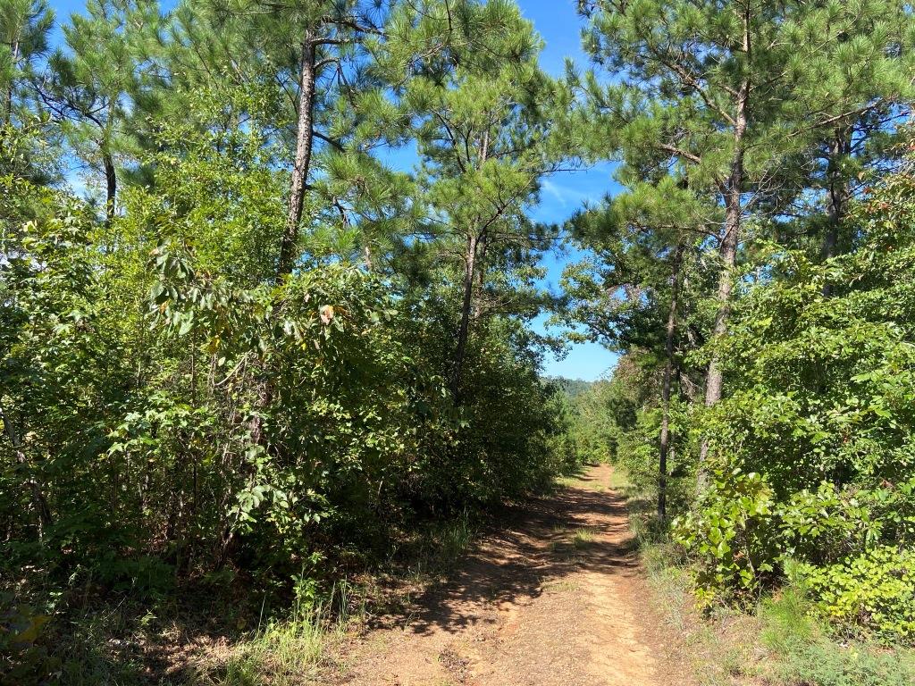 Little Patsiliga Creek Photo