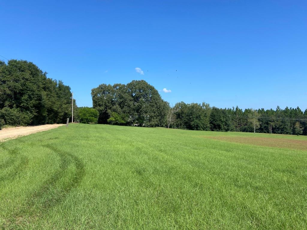 Horse Creek Road Homesite Photo