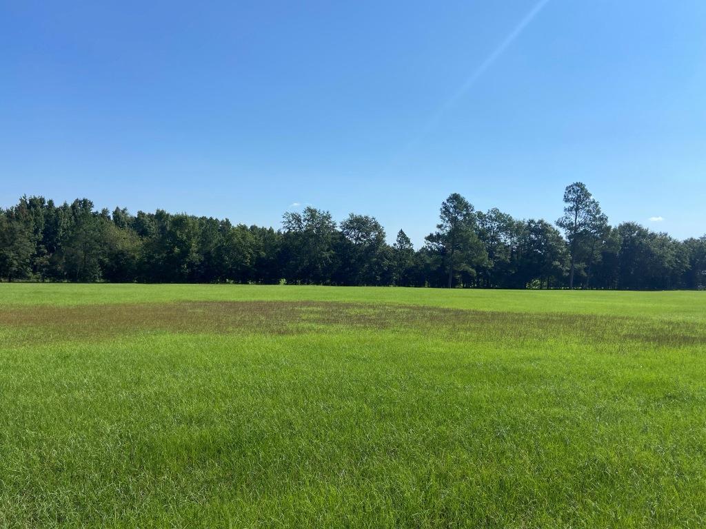 Horse Creek Road Homesite Photo