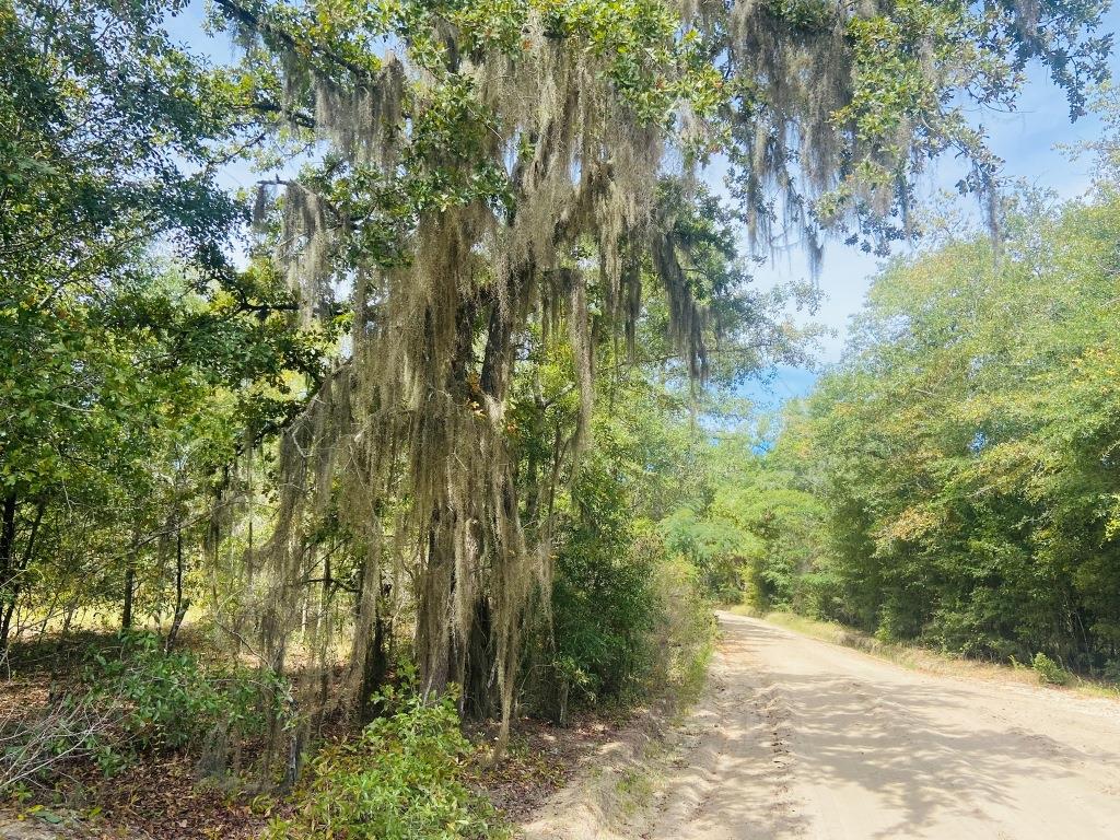 County Line Homesite Photo