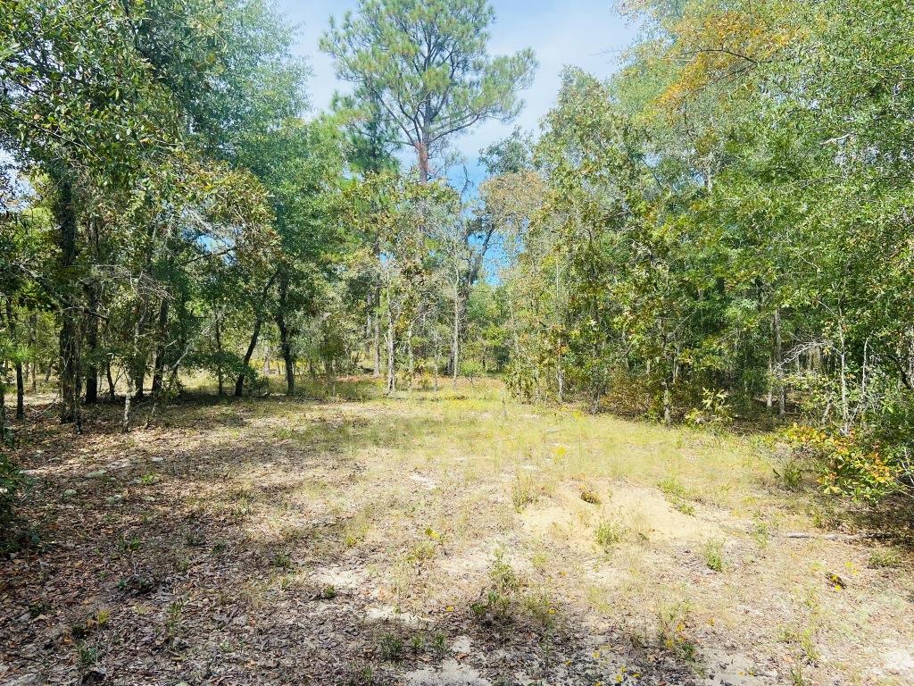 County Line Homesite Photo