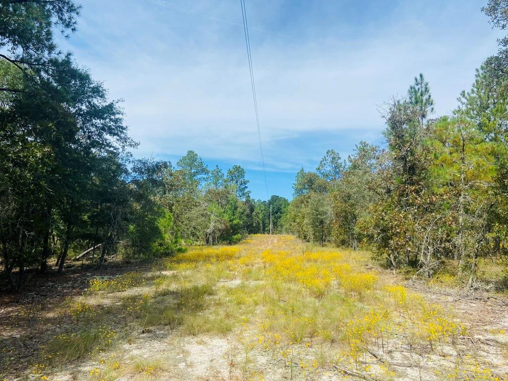 County Line Homesite Photo