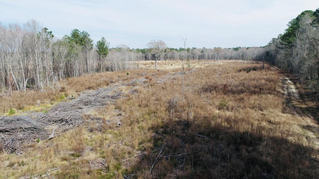 Willow Lake Tract Photo