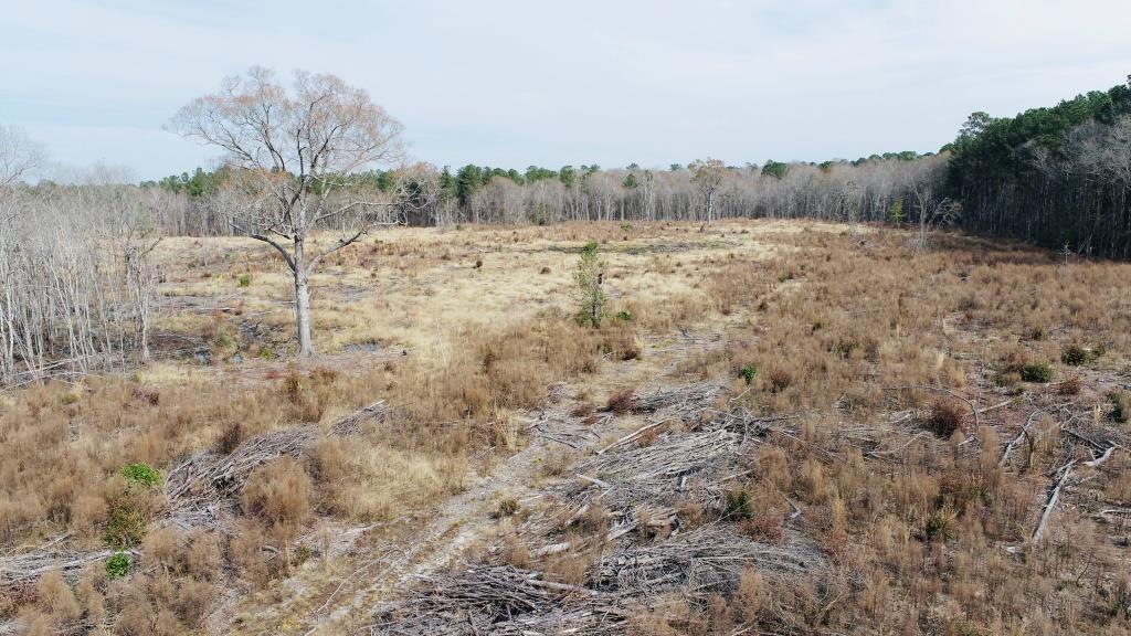 Willow Lake Tract Photo