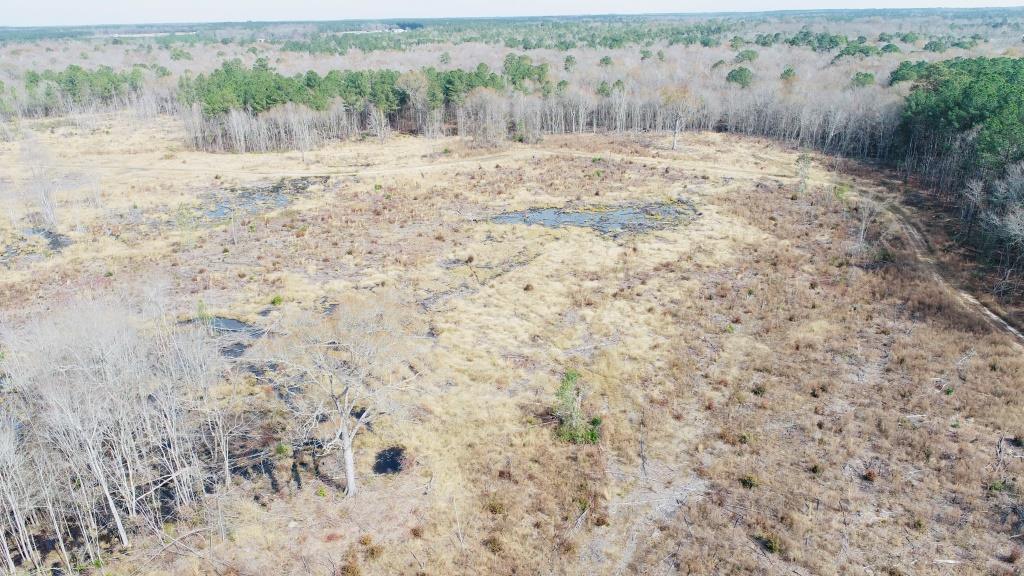 Willow Lake Tract Photo