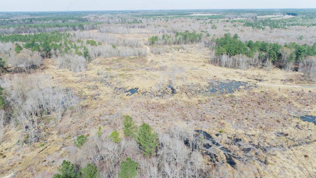 Willow Lake Tract Photo