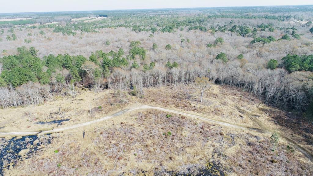 Willow Lake Tract Photo