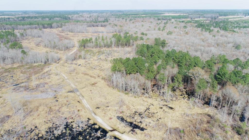 Willow Lake Tract Photo