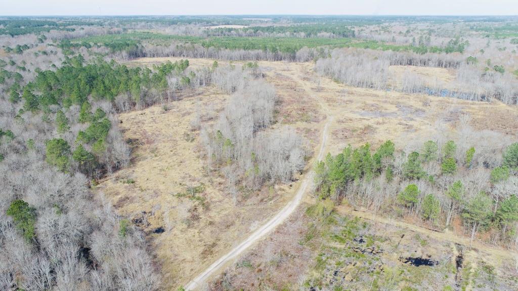 Willow Lake Tract Photo