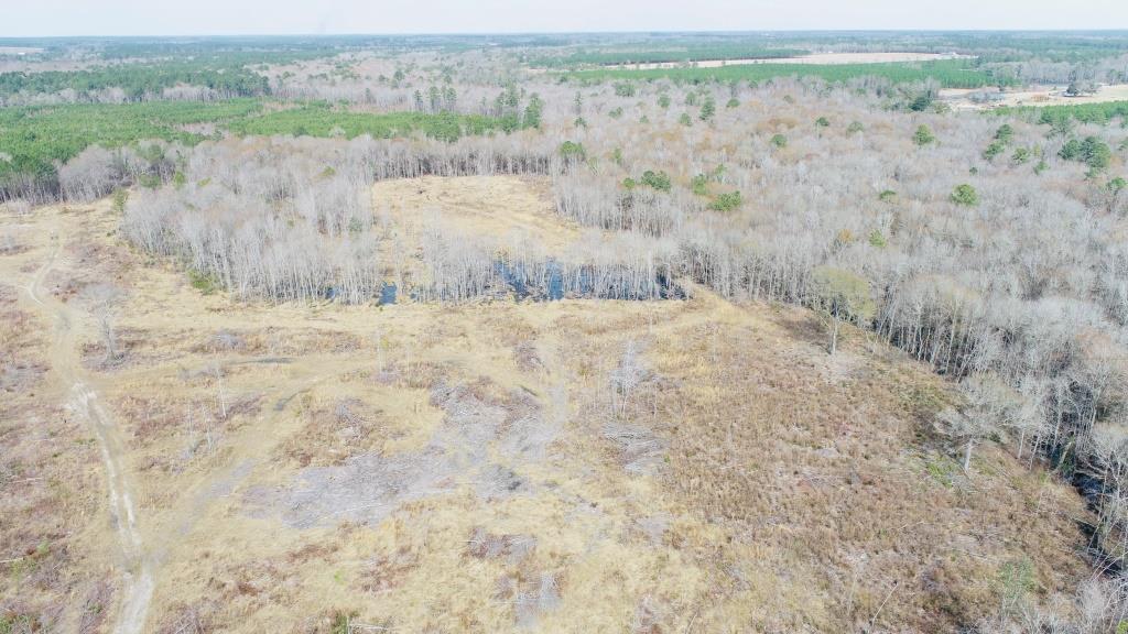 Willow Lake Tract Photo