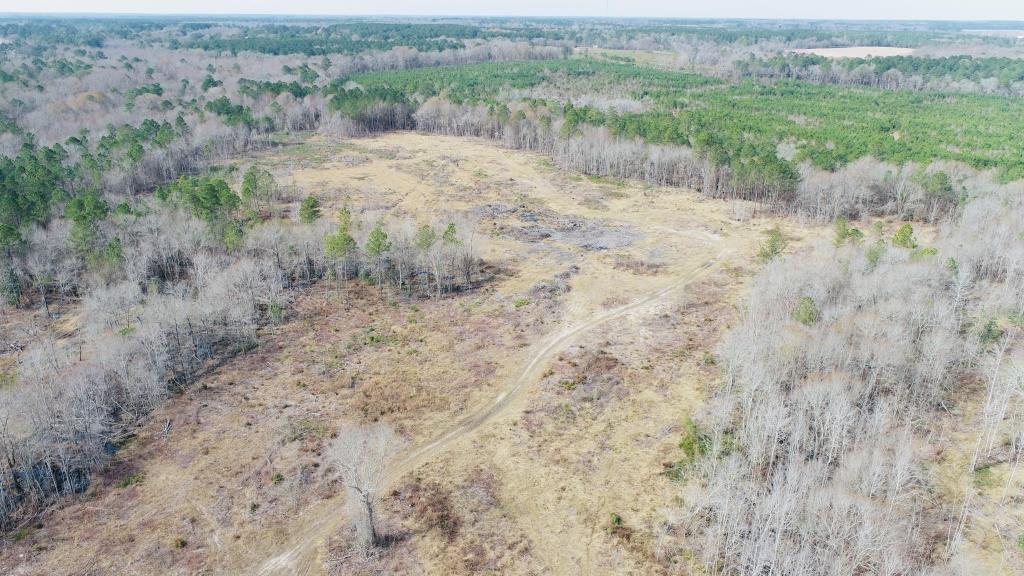 Willow Lake Tract Photo