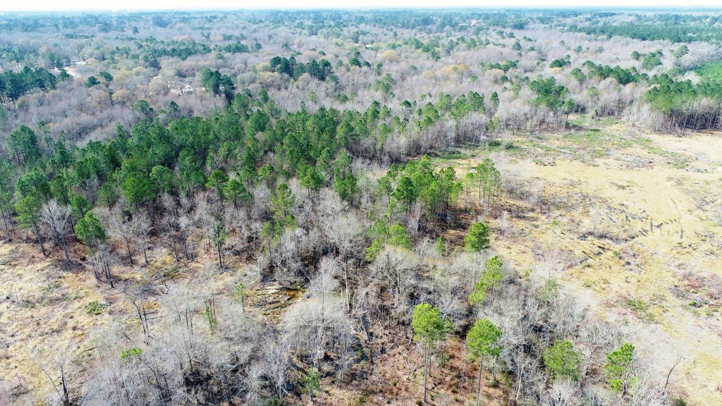 Willow Lake Tract Photo