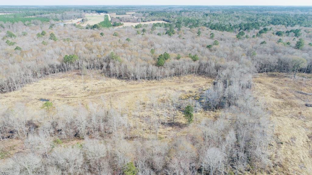 Willow Lake Tract Photo