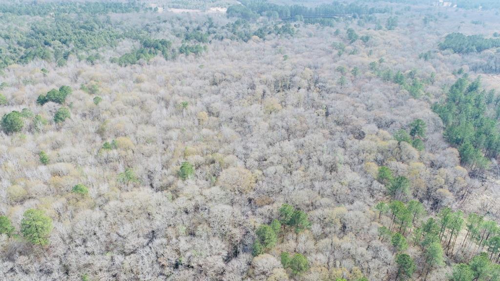 Willow Lake Tract Photo