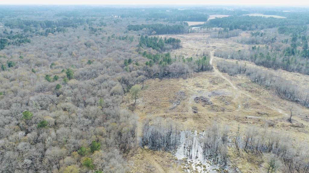 Willow Lake Tract Photo