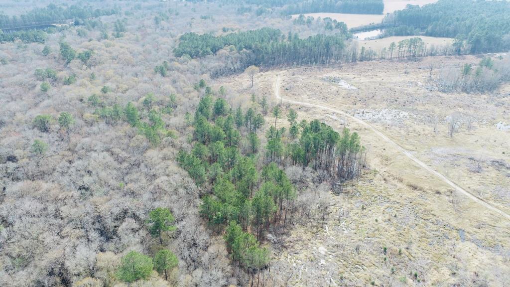 Willow Lake Tract Photo